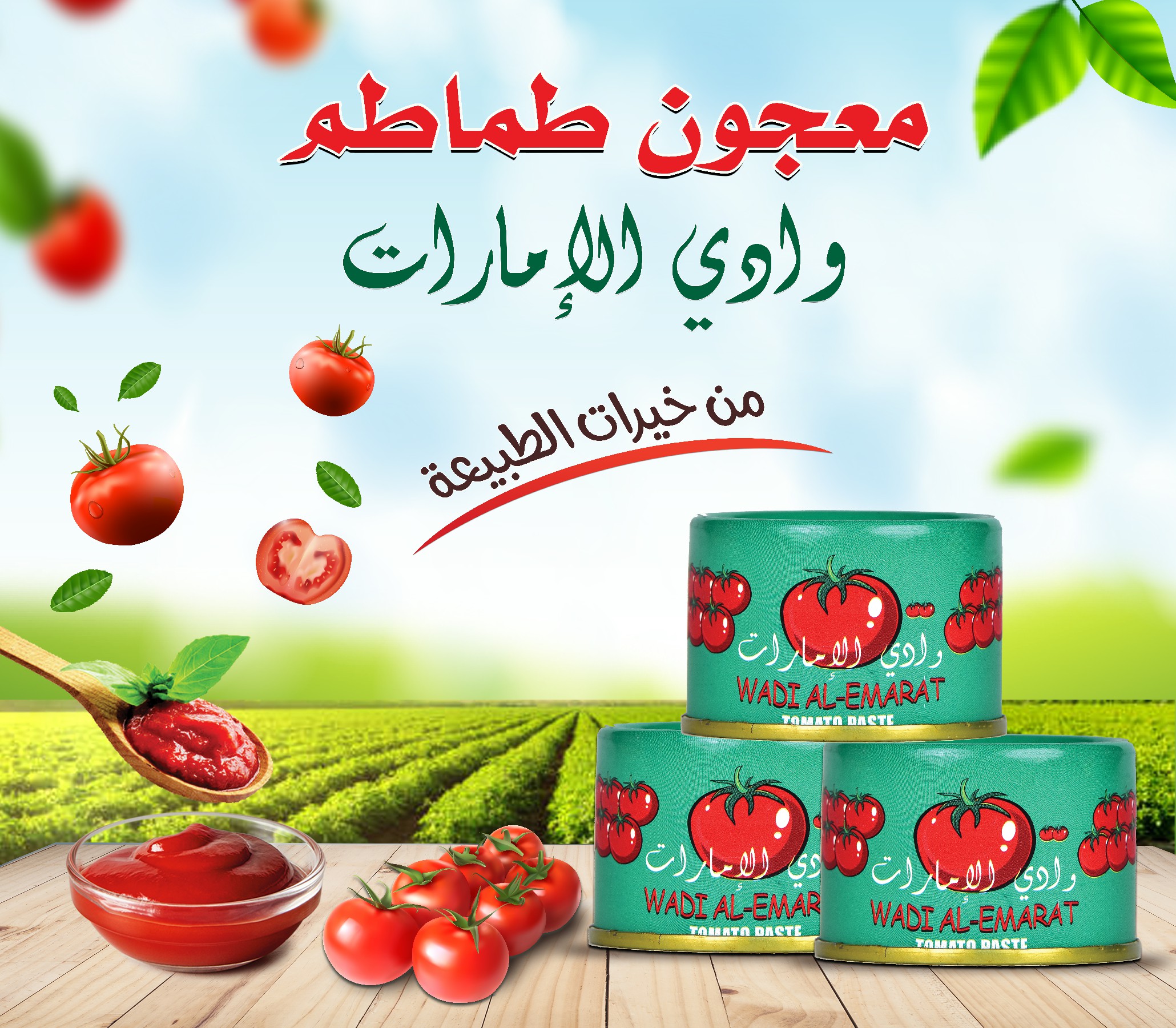 https://alhasel-ti.com.ye//